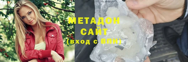 индика Дмитров