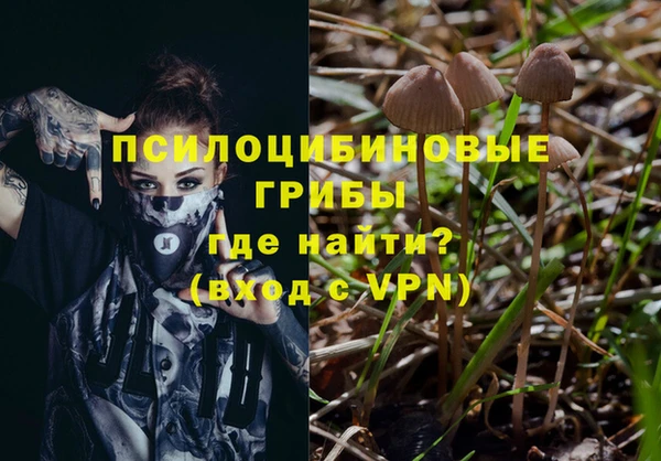 винт Абинск