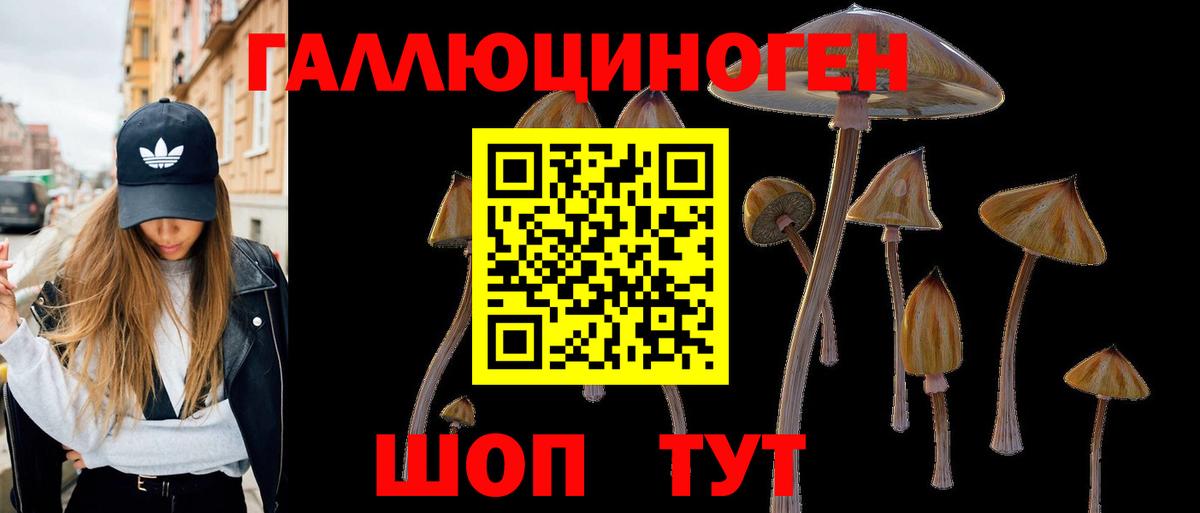 Псилоцибиновые грибы Psilocybine cubensis Краснокамск